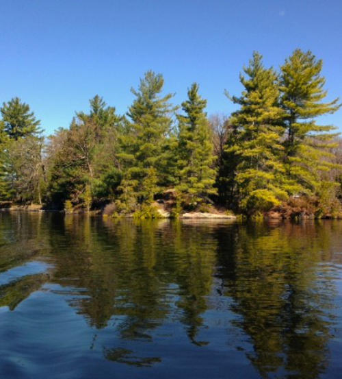 Six Mile Lake Lumbers Island